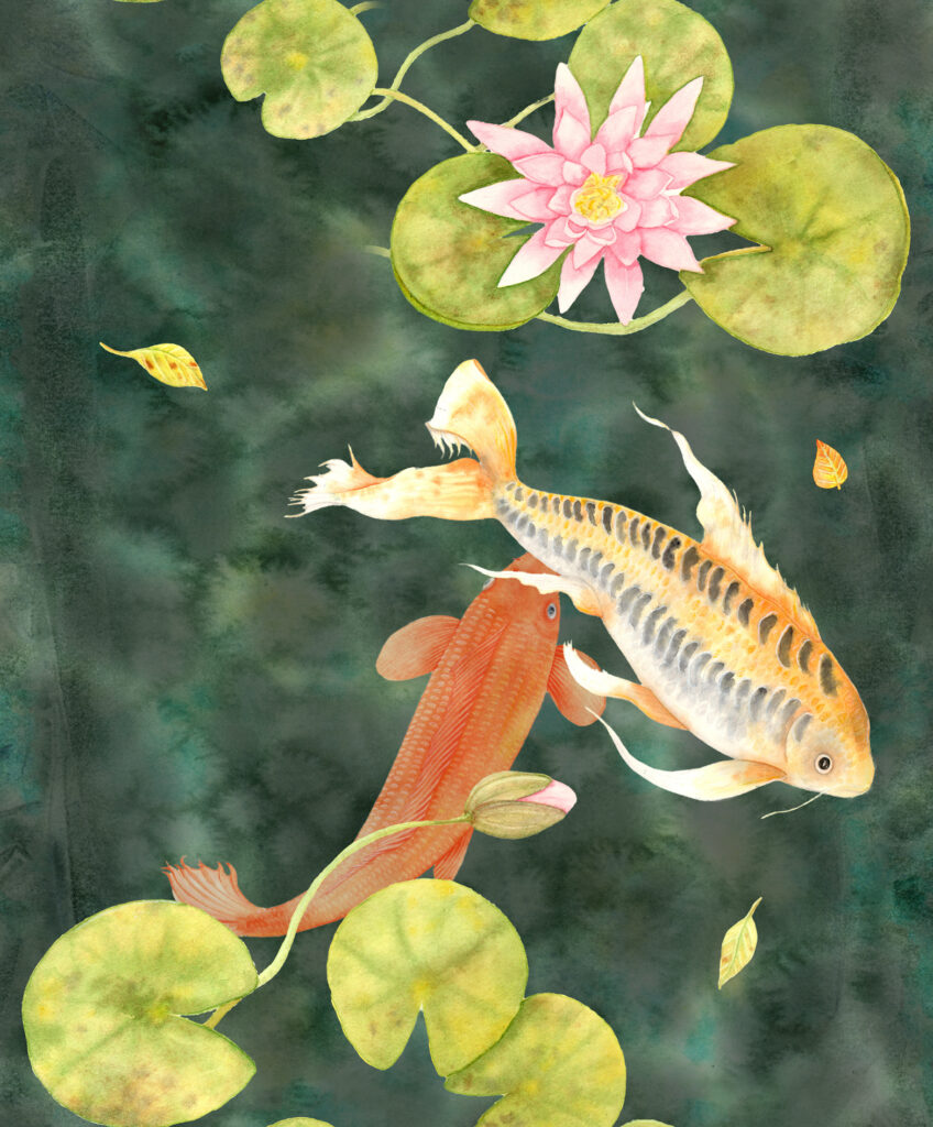 Koi Fish